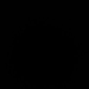 Meet your Posher, Otto